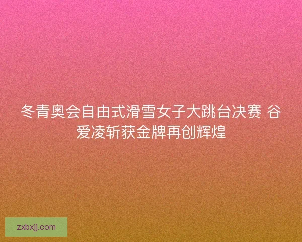 冬青奥会自由式滑雪女子大跳台决赛 谷爱凌斩获金牌再创辉煌